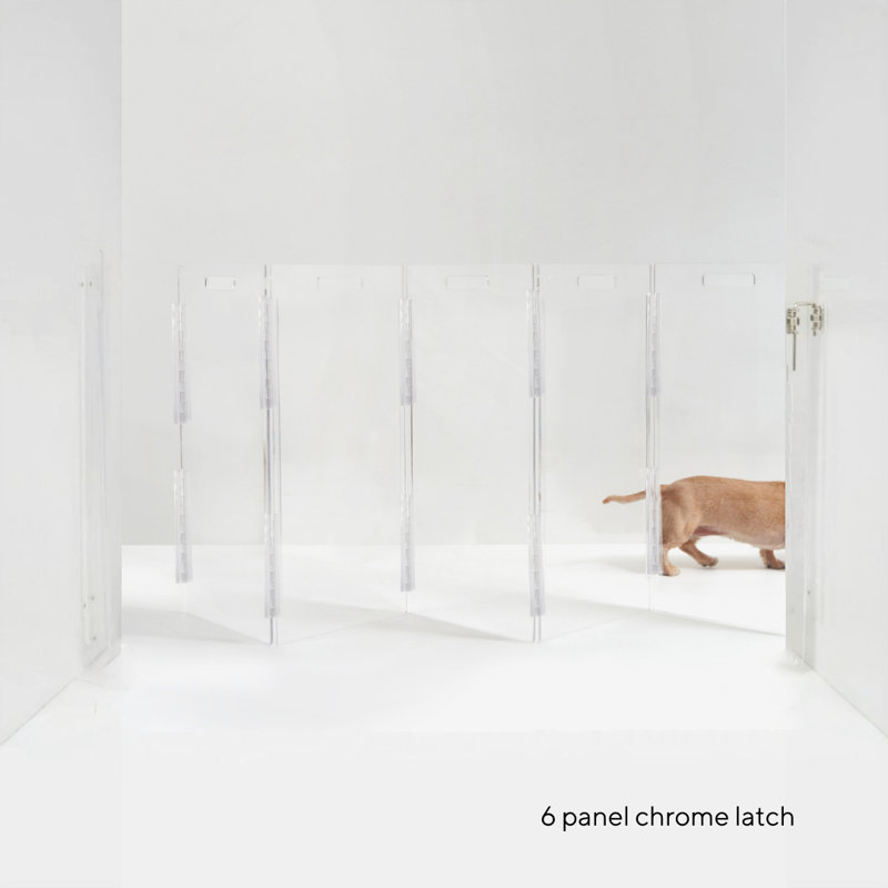 Hiddin Clear Zig Zag Pet Gate Wall Mounted Pet Gate with Gold Latch